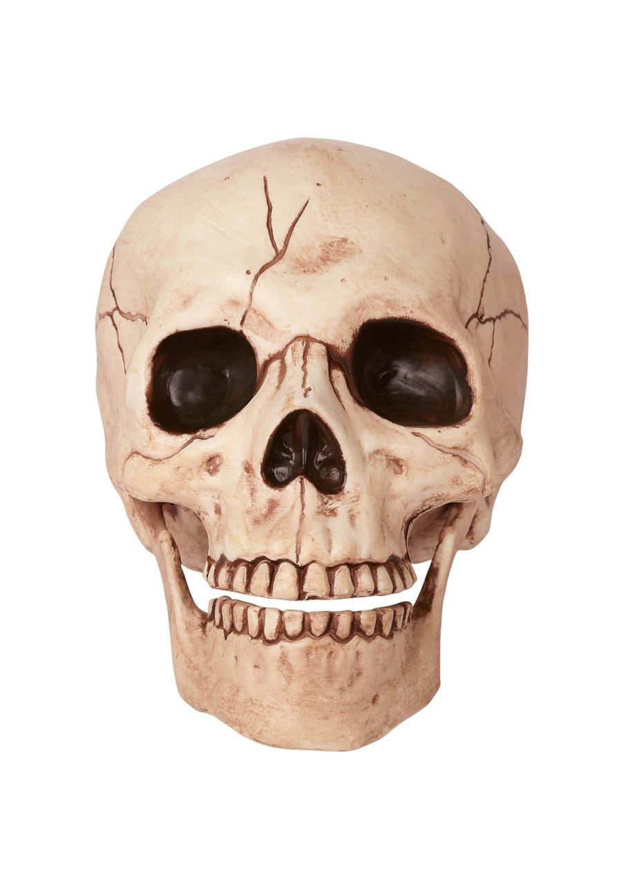 Skull with Movable Jaw Halloween Decoration