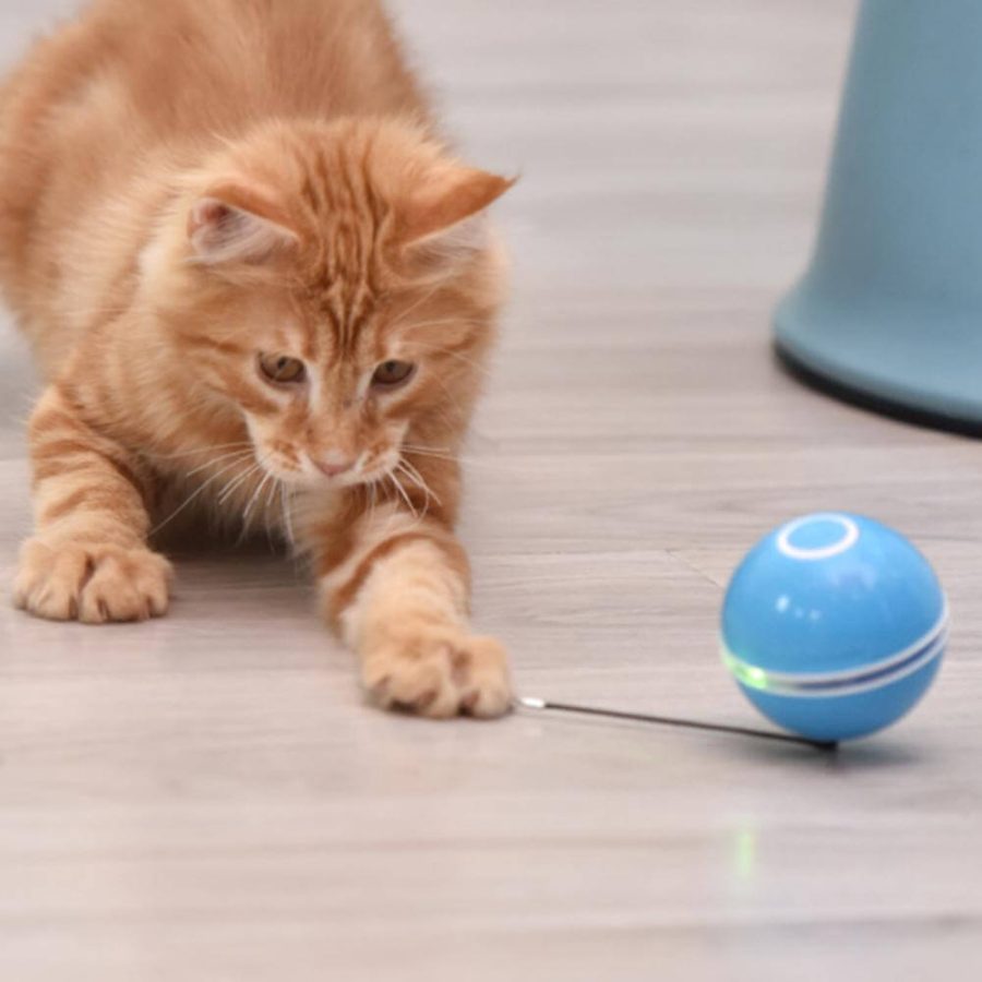 Smart Interactive Self-Rotating Cat Toy Ball