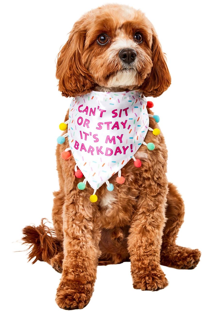 Sprinkle Birthday Bandana Pet Costume