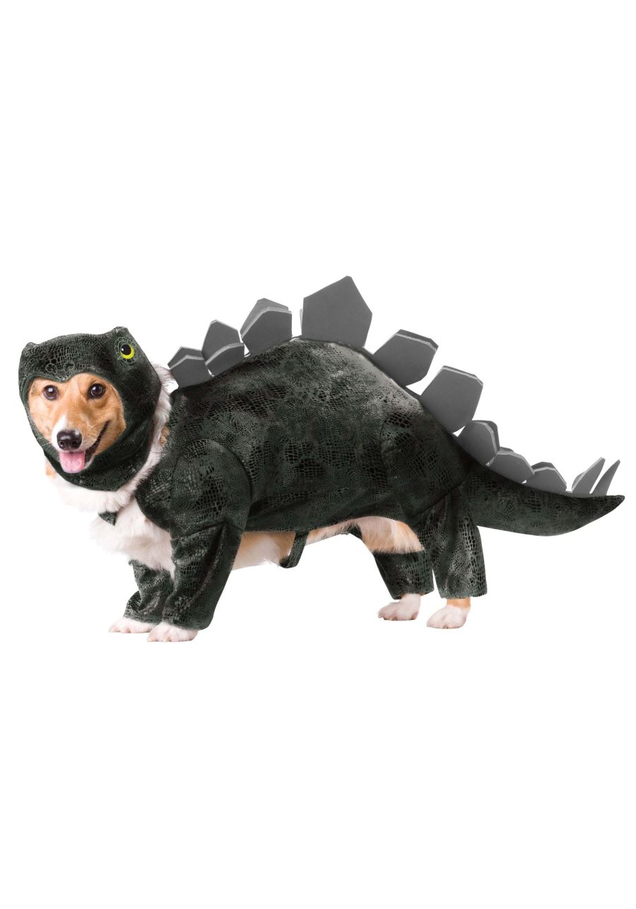 Stegosaurus Dog Costume