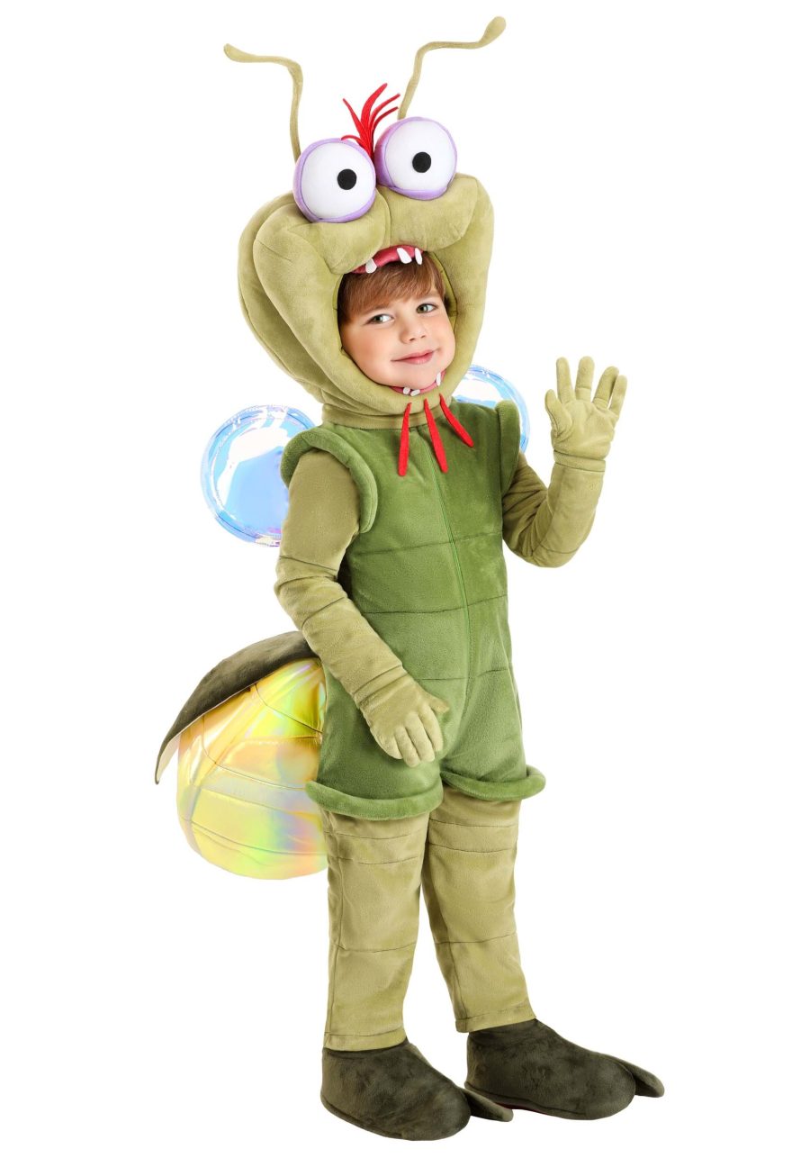 Toddler Deluxe Disney Princess and the Frog Ray Costume