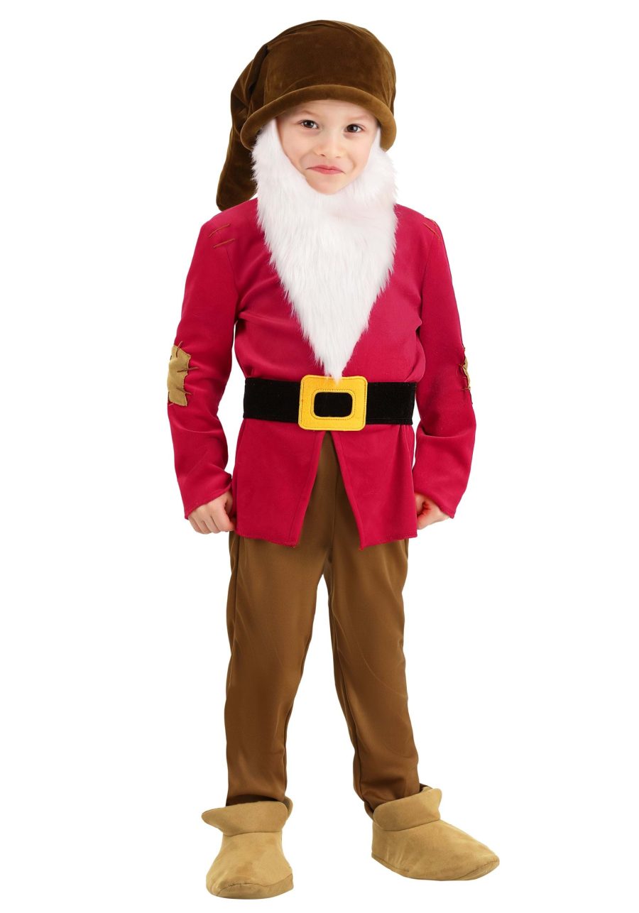 Toddler Disney Grumpy Dwarf Costume