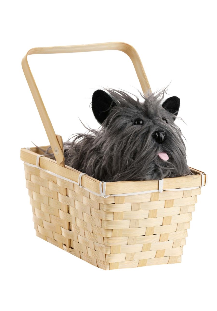 Toto in a Basket Costume Accessory