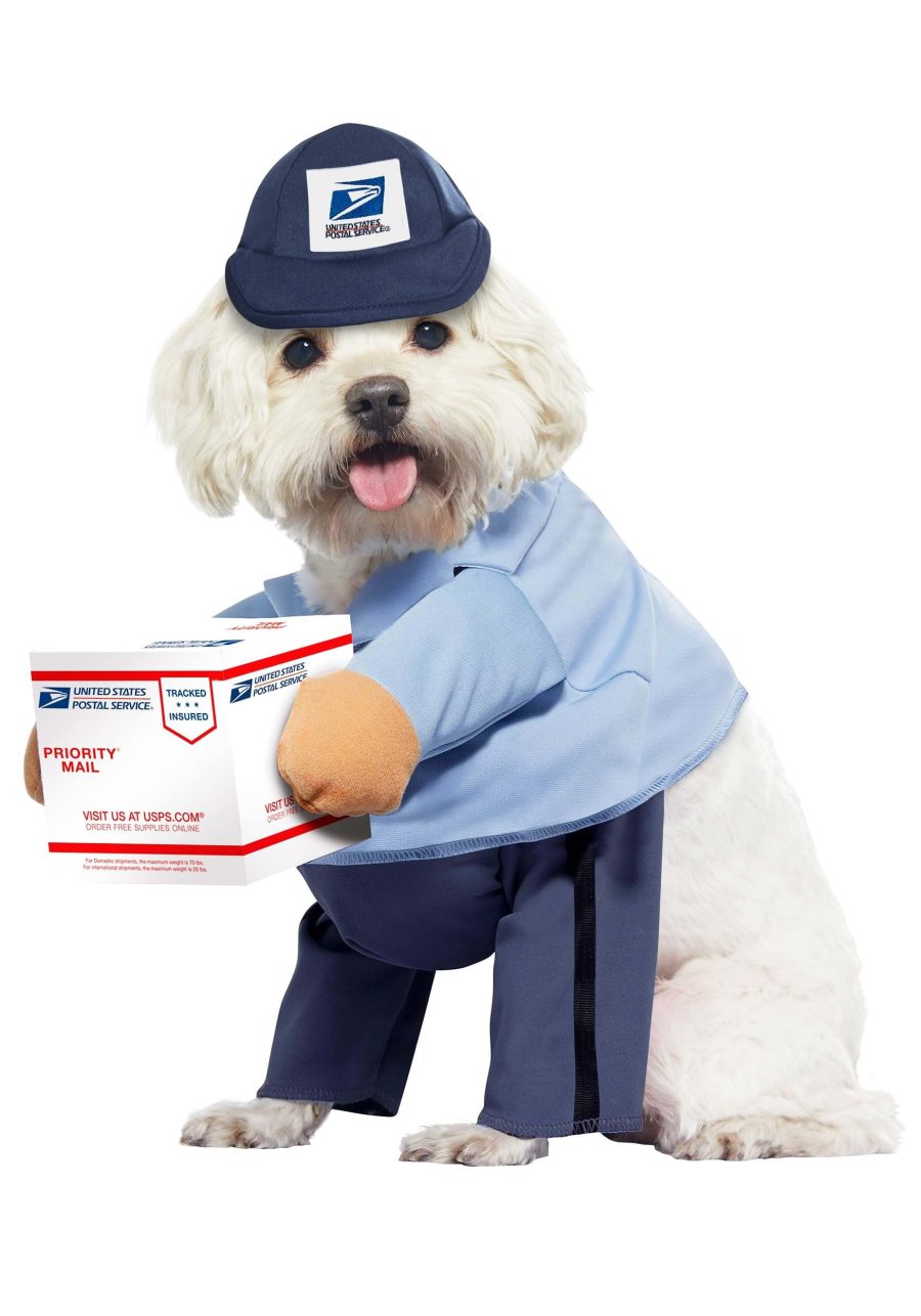 USPS Pet Mail Carrier Costume