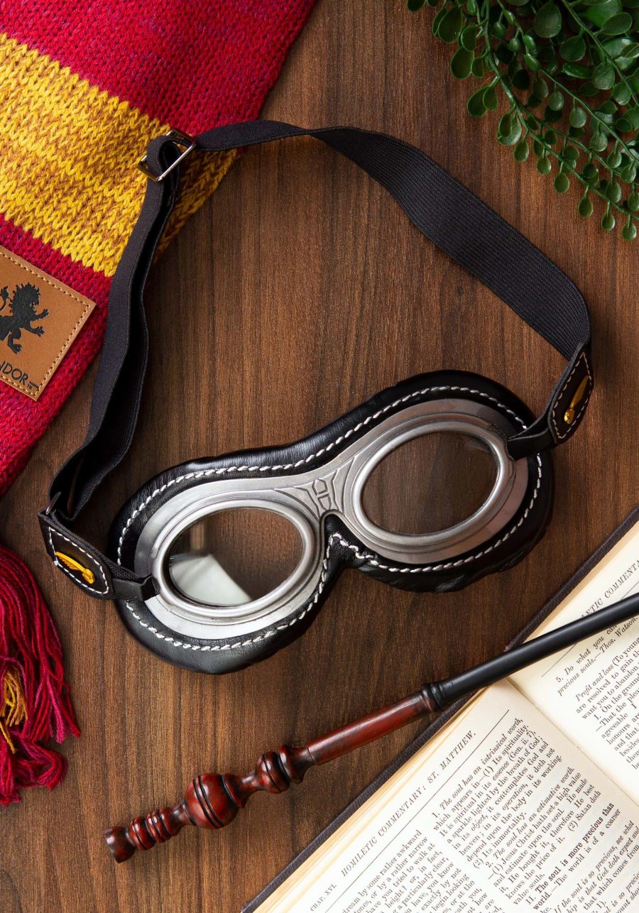 Wizard Quidditch Goggles