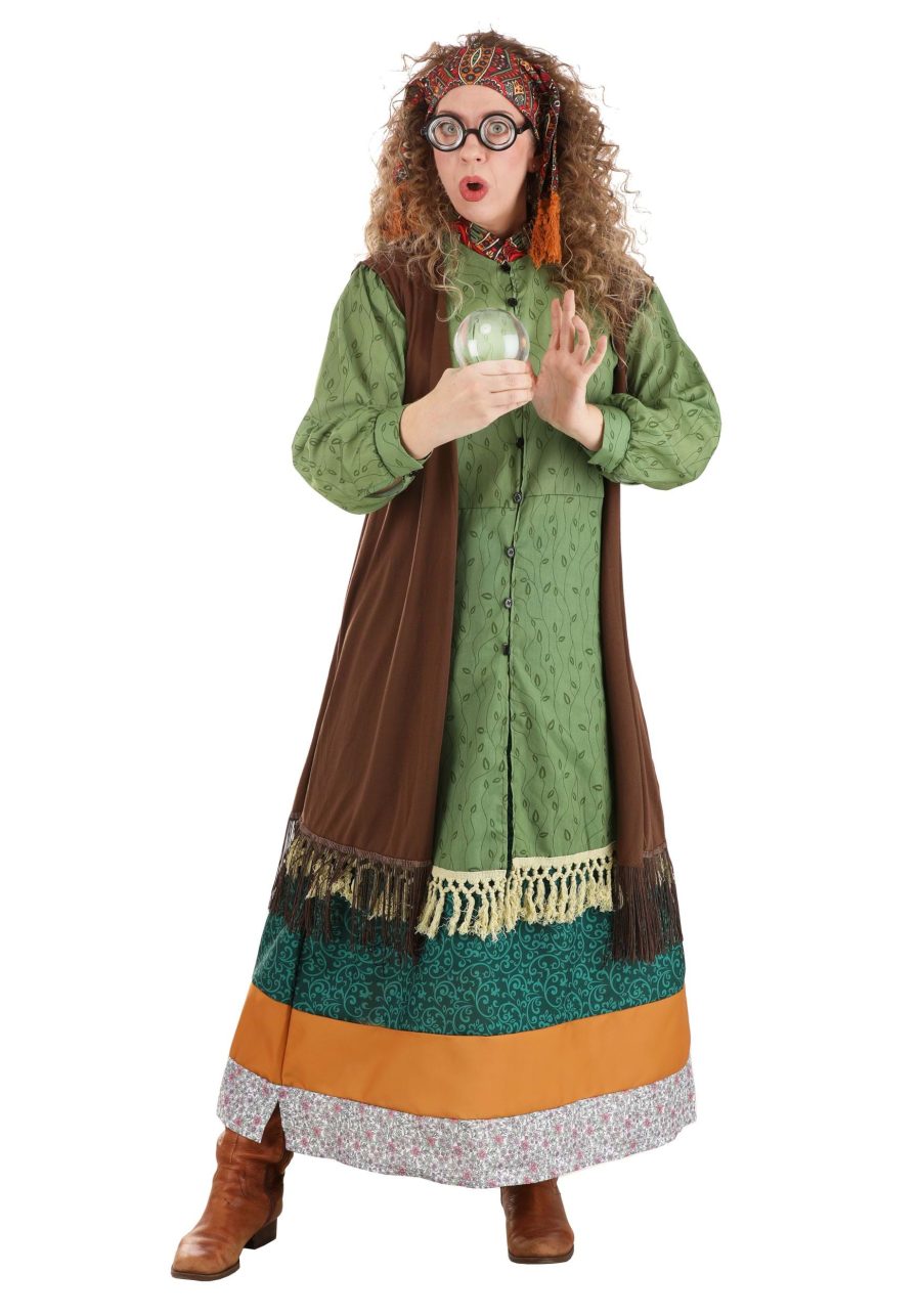 Women's Plus Size Deluxe Professor Trelawney Costume