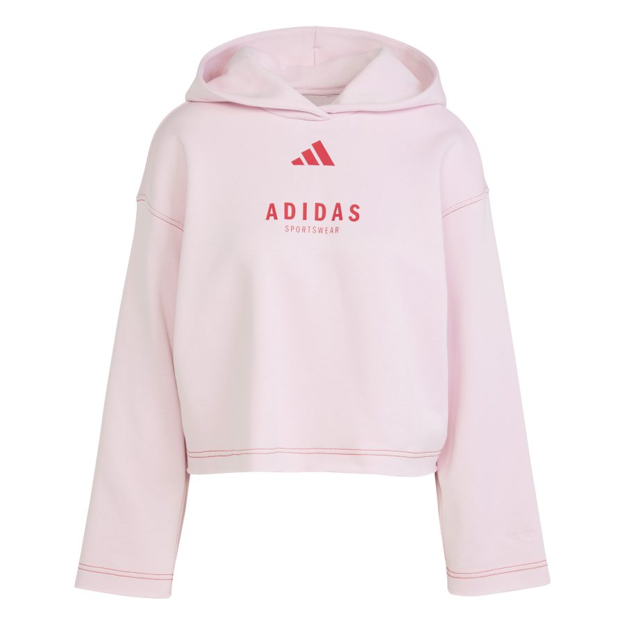 Women's loose-fitting hoodie adidas All Szn Graphic