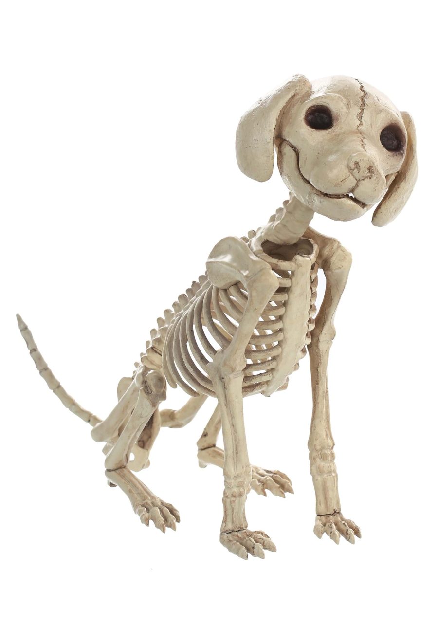 7.5 Inch Sitting Puppy Skeleton Decoration