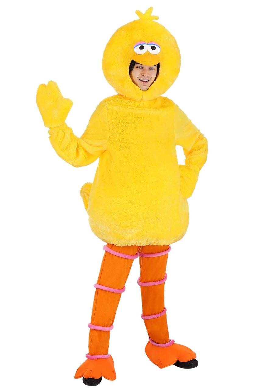 Adult Sesame Street Big Bird Costume