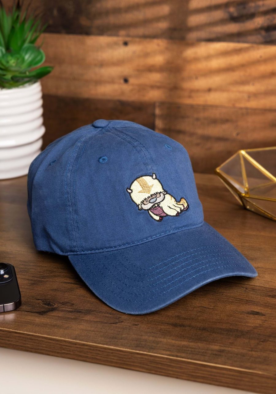 Avatar the Last Airbender Dad Cap