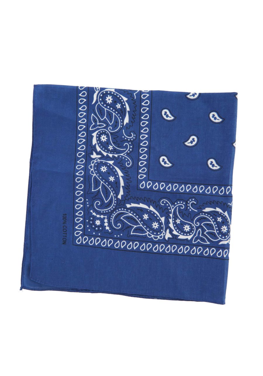 Blue Bandana