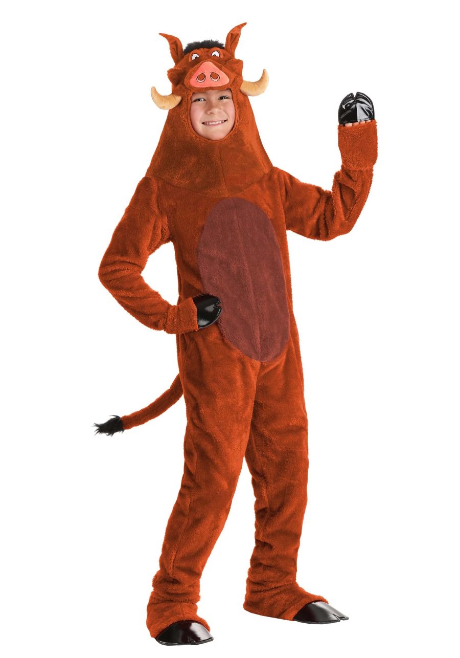 Boy's Disney The Lion King Pumbaa Costume