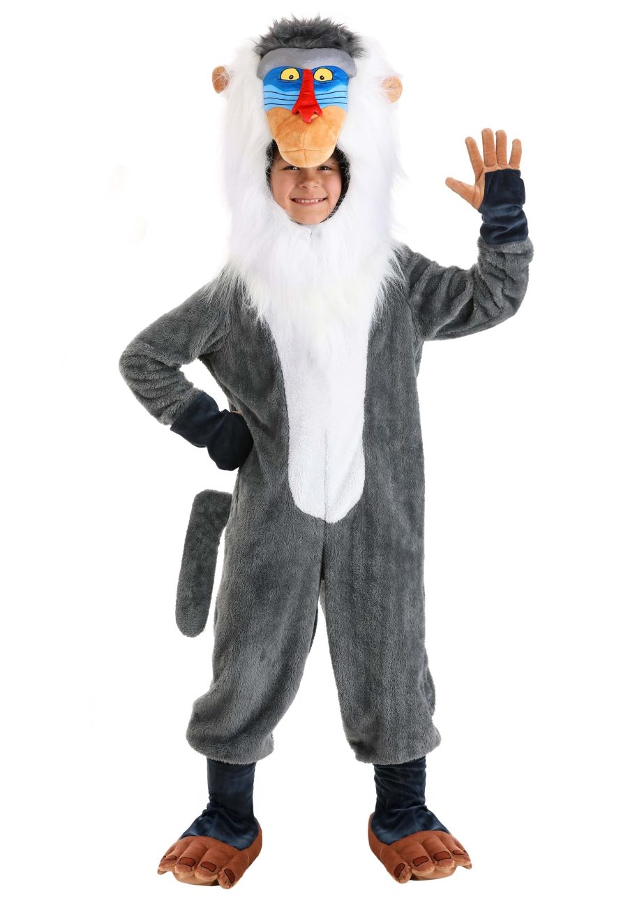 Boy's Disney The Lion King Rafiki Costume