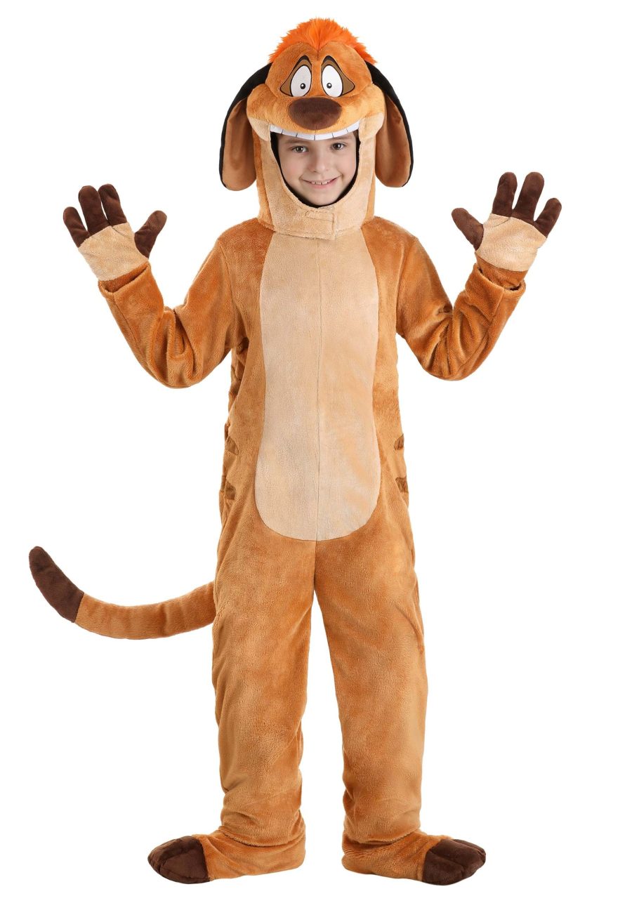 Boy's Disney The Lion King Timon Costume