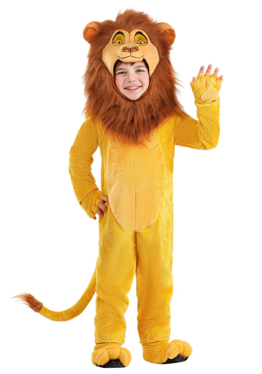 Boy's Toddler Disney The Lion King Mufasa Costume