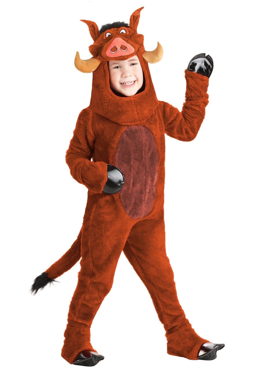 Boy's Toddler Disney The Lion King Pumbaa Costume