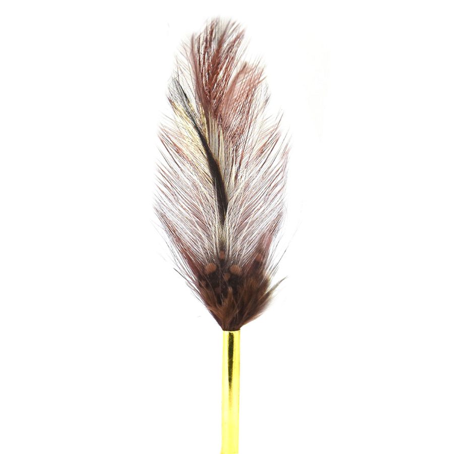 Brown Feather - Brown/MISC