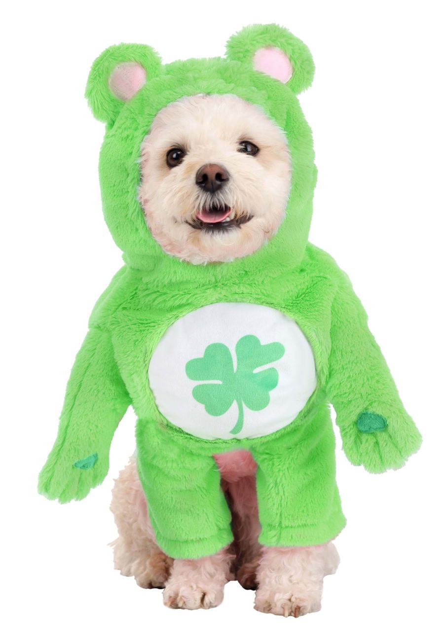 Care Bears Good Luck Bear Pet Costume