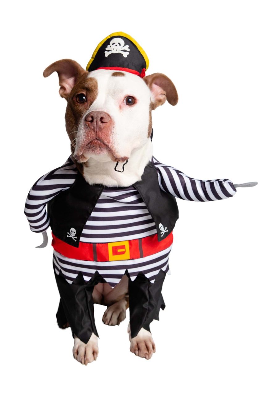 Classic Pirate Pet Costume