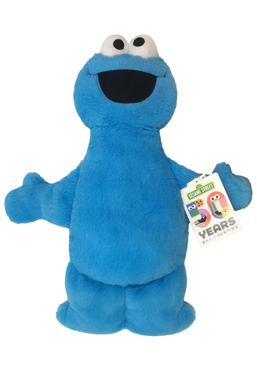 Cookie Monster Sesame Street Pillow Buddy