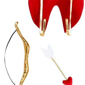 Cupid Wings and Bow Kit