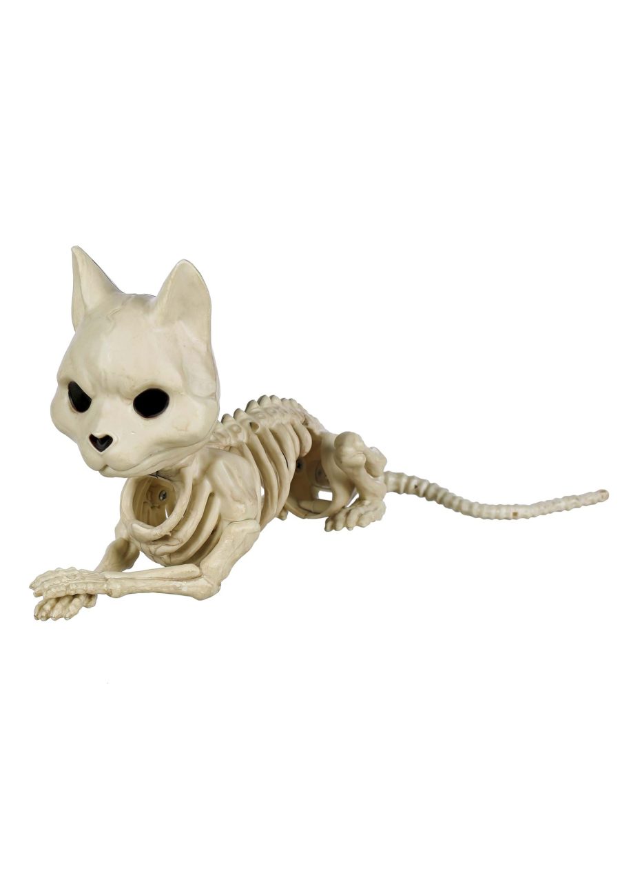 Cute Skeleton Cat Prop