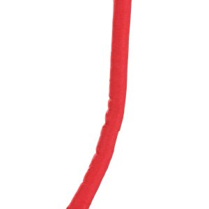 Devil Tail Accessory