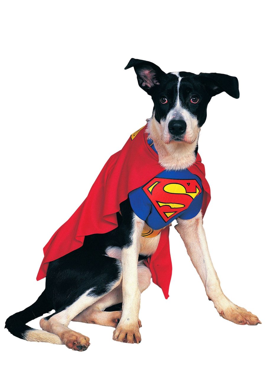 Dog's Superman Superdog Costume