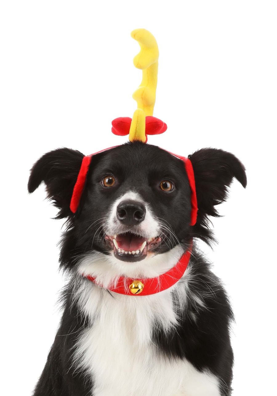 Dr. Seuss Grinch Max Dog Costume