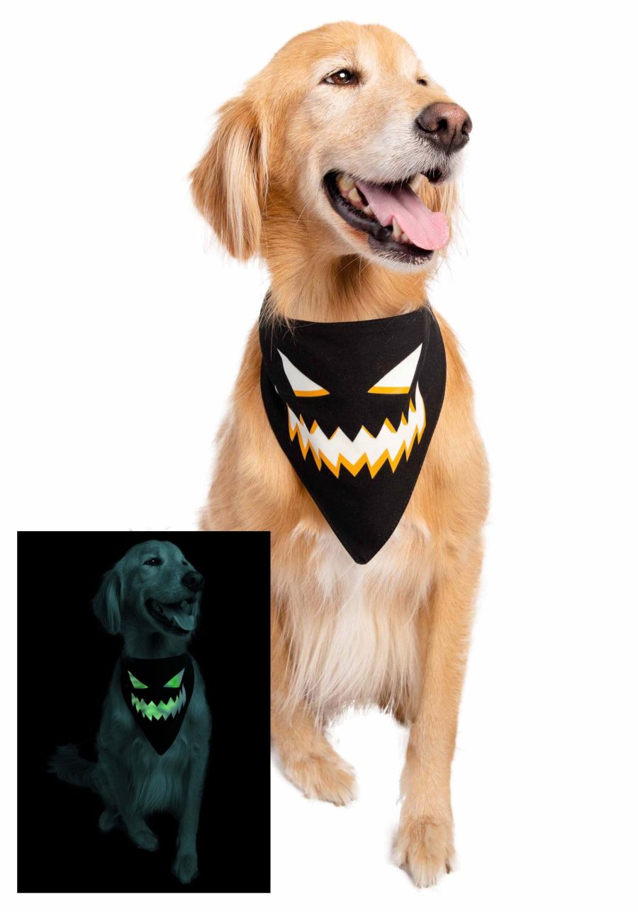 Glow-in-the-Dark Jack O' Lantern Pet Dog Bandana