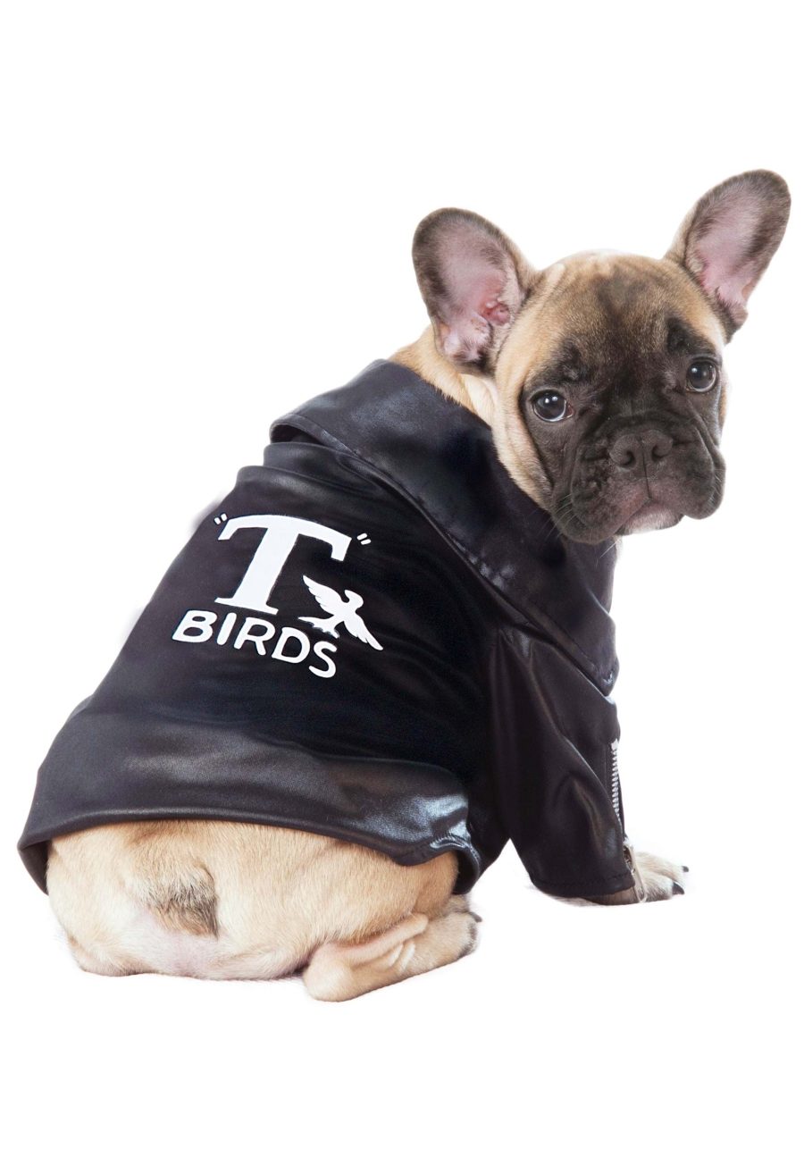 Grease T-Birds Jacket Costume for Pets