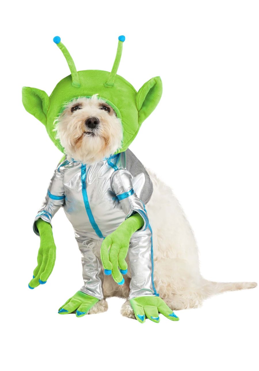 Green Alien Costume for Pets