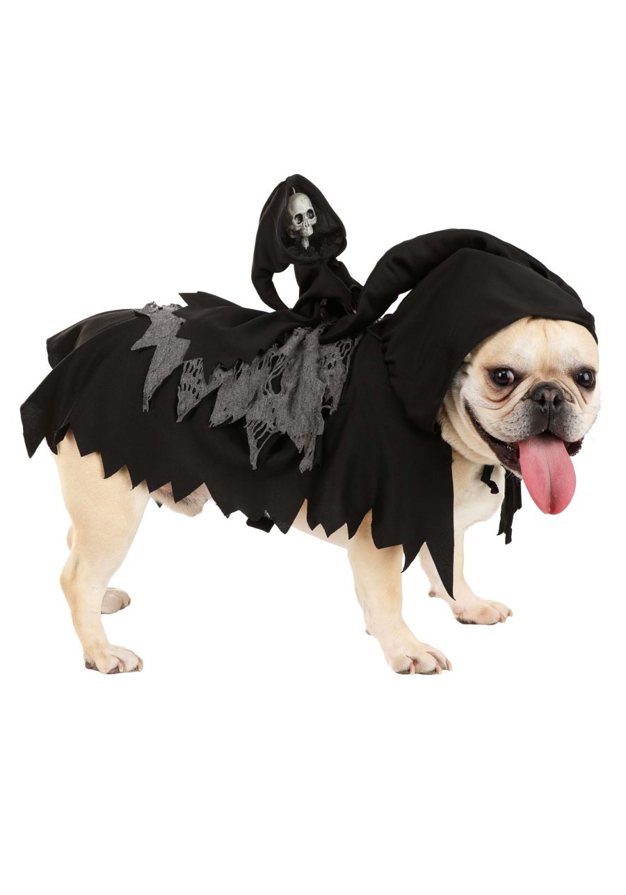 Grim Reaper Dog Costume