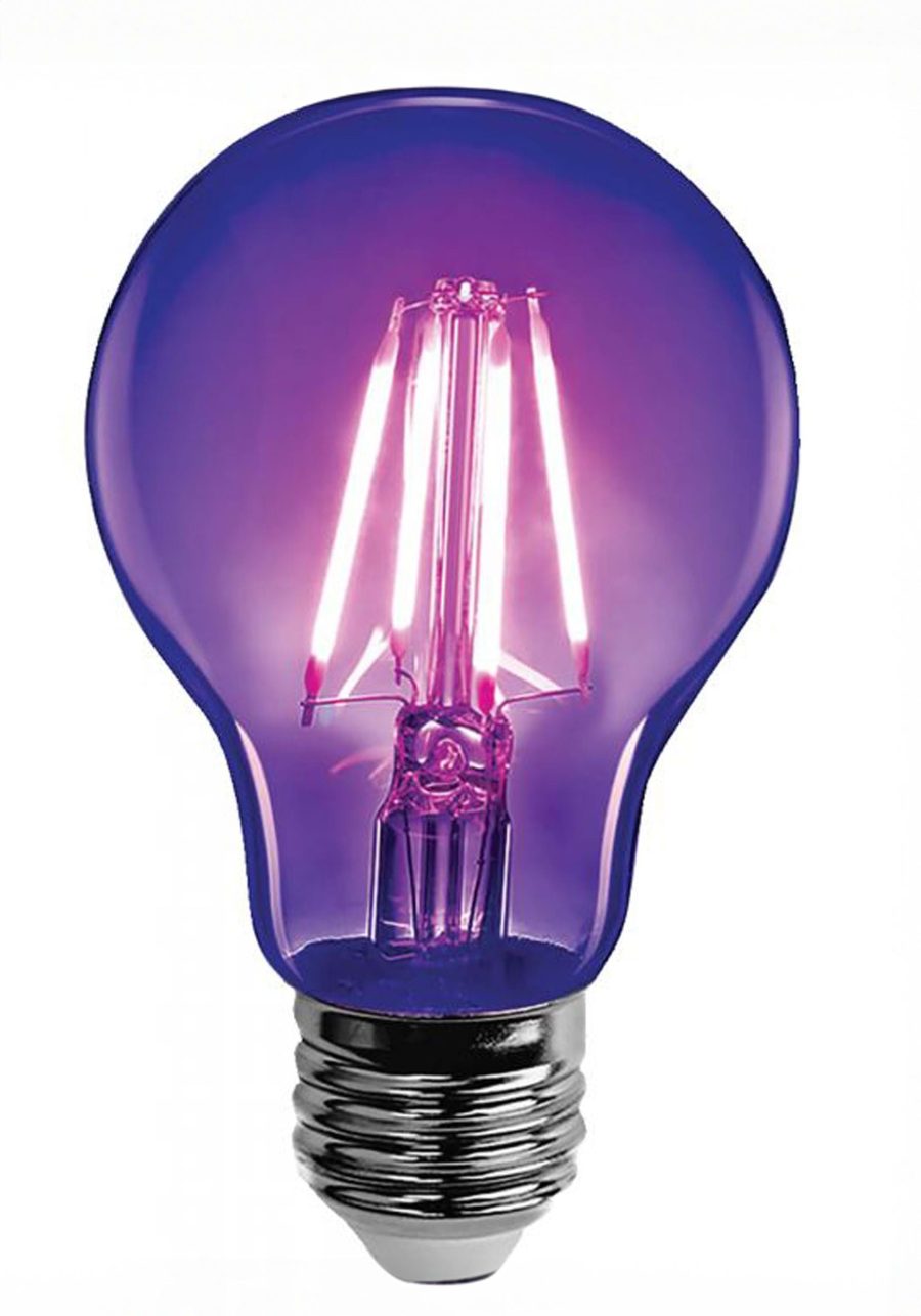 LED Black Light Bulb Decoration