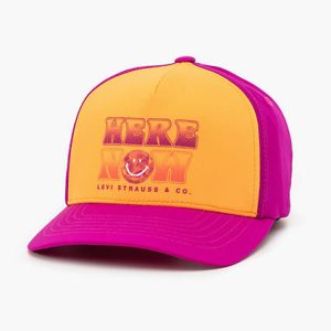Levi's Graphic FlexFit Cap - Men's One Size