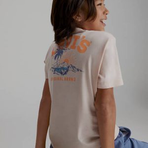 Levi's Scenic Summer T-Shirt Big Boys S-Xl S
