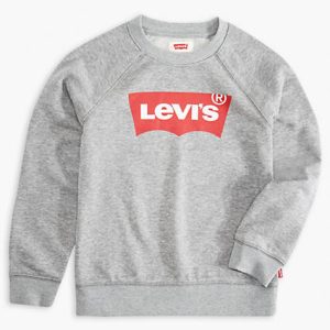 Little Boys 4-7x Levi's Logo Pullover Sweatshirt 4