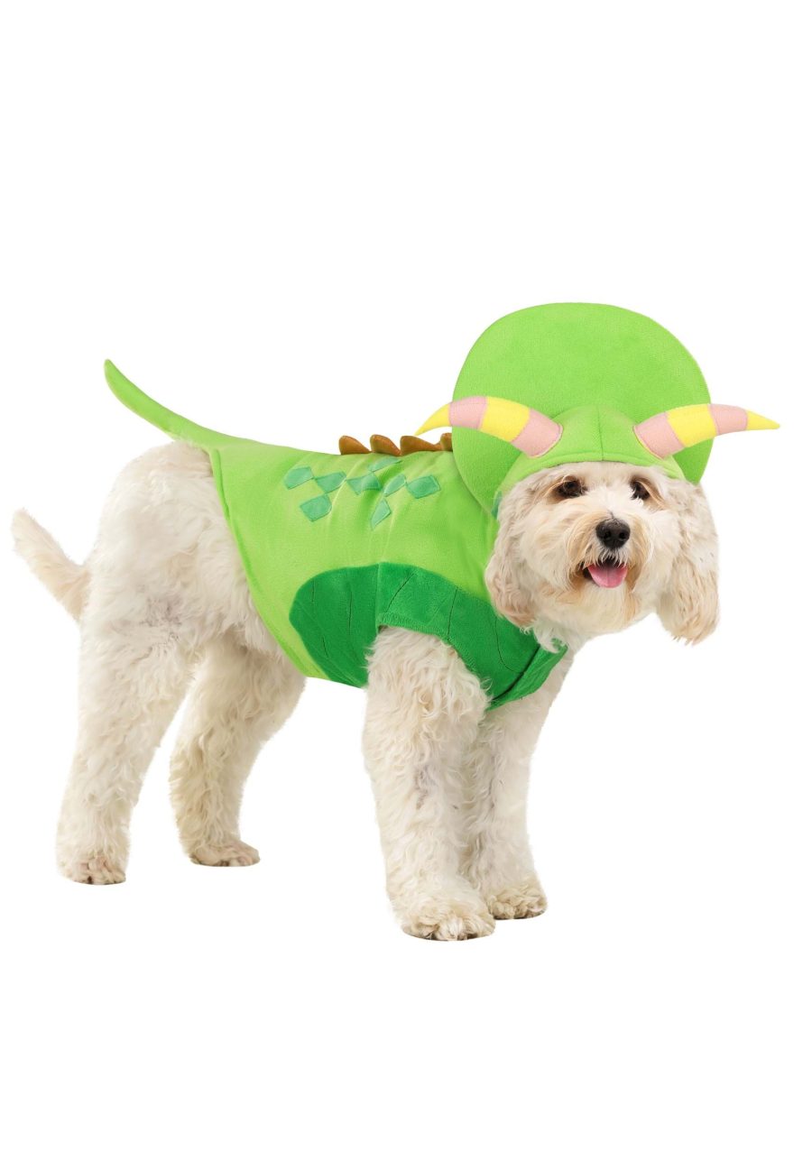 Magic School Bus Liz Dog Costume