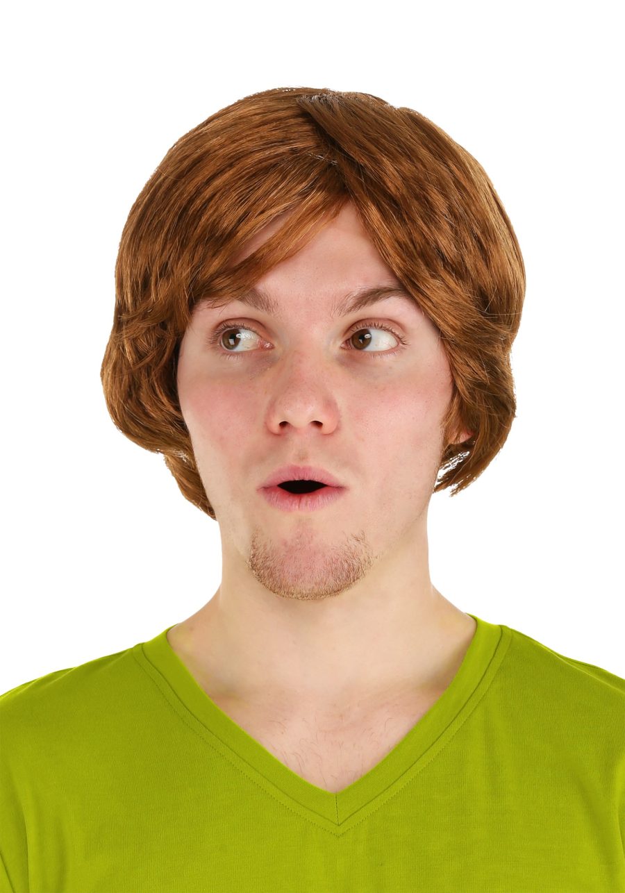 Men's Scooby Doo Shaggy Wig