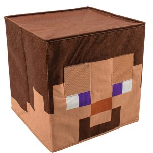 Minecraft Steve Block Head