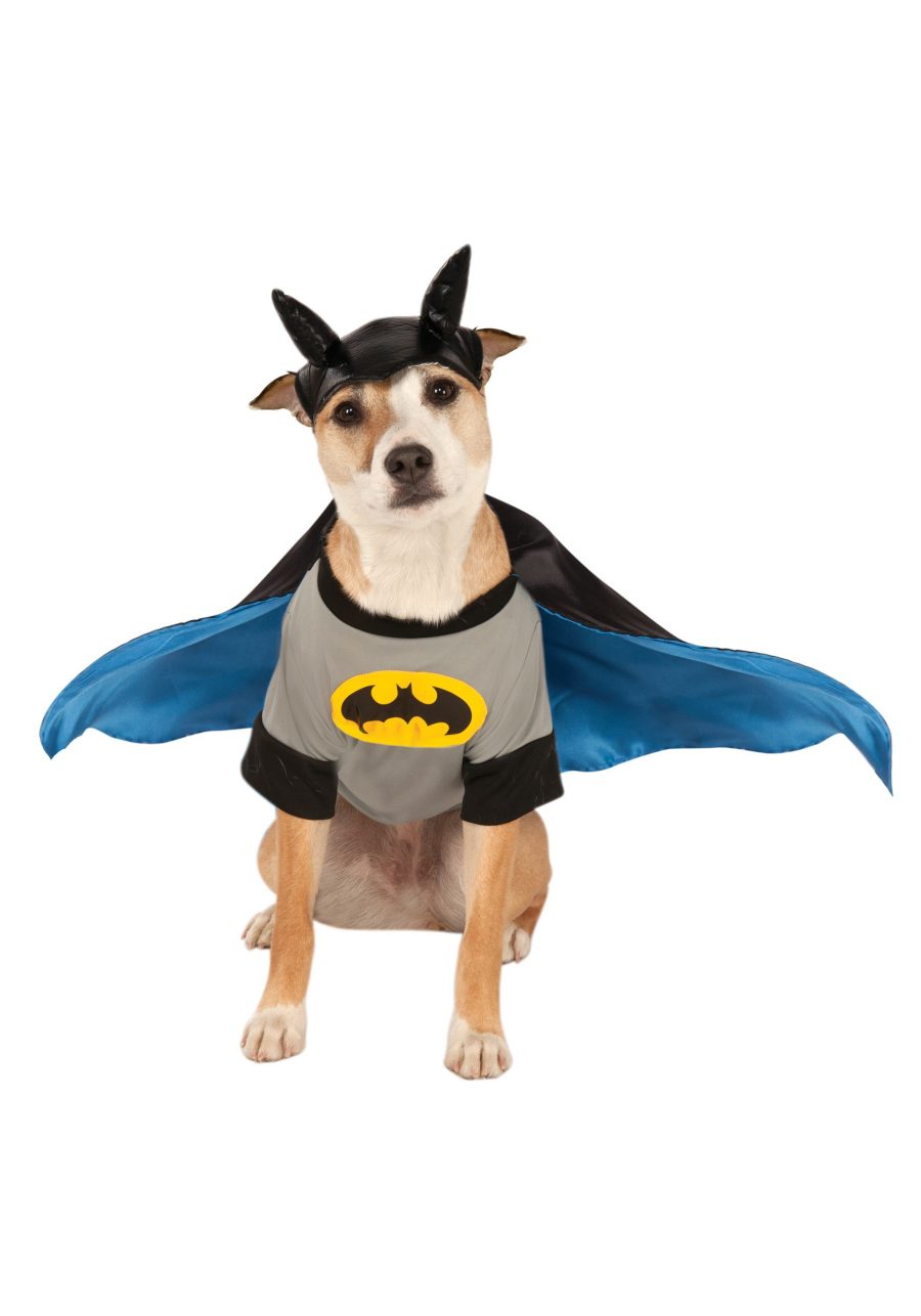 Pet Batman Costume