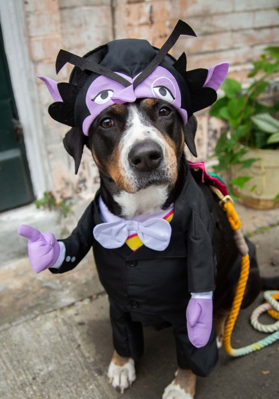 Pet's Sesame Street The Count Costume