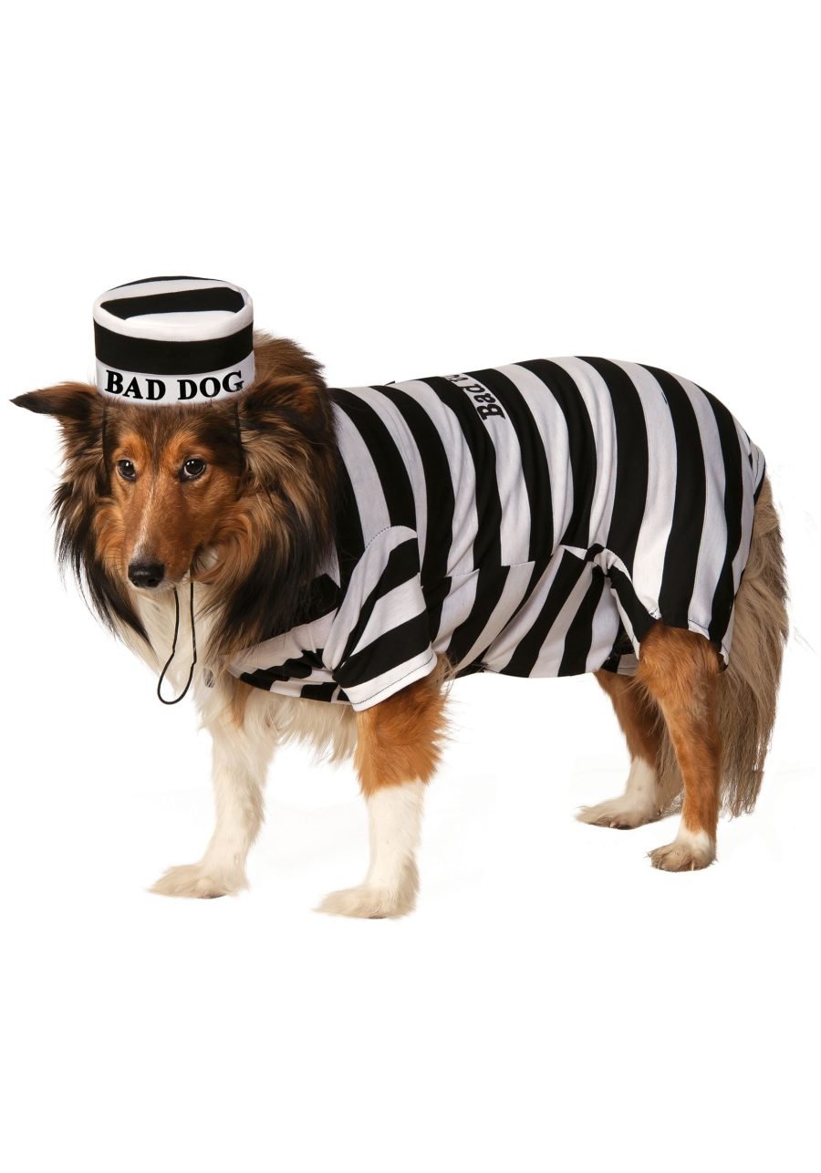 Prisoner Dog Costume