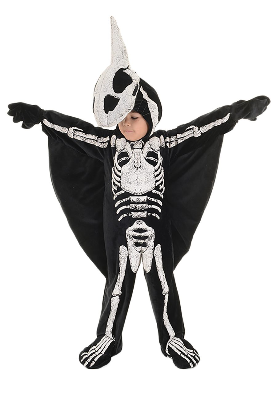 Pterodactyl Fossil Toddler Costume