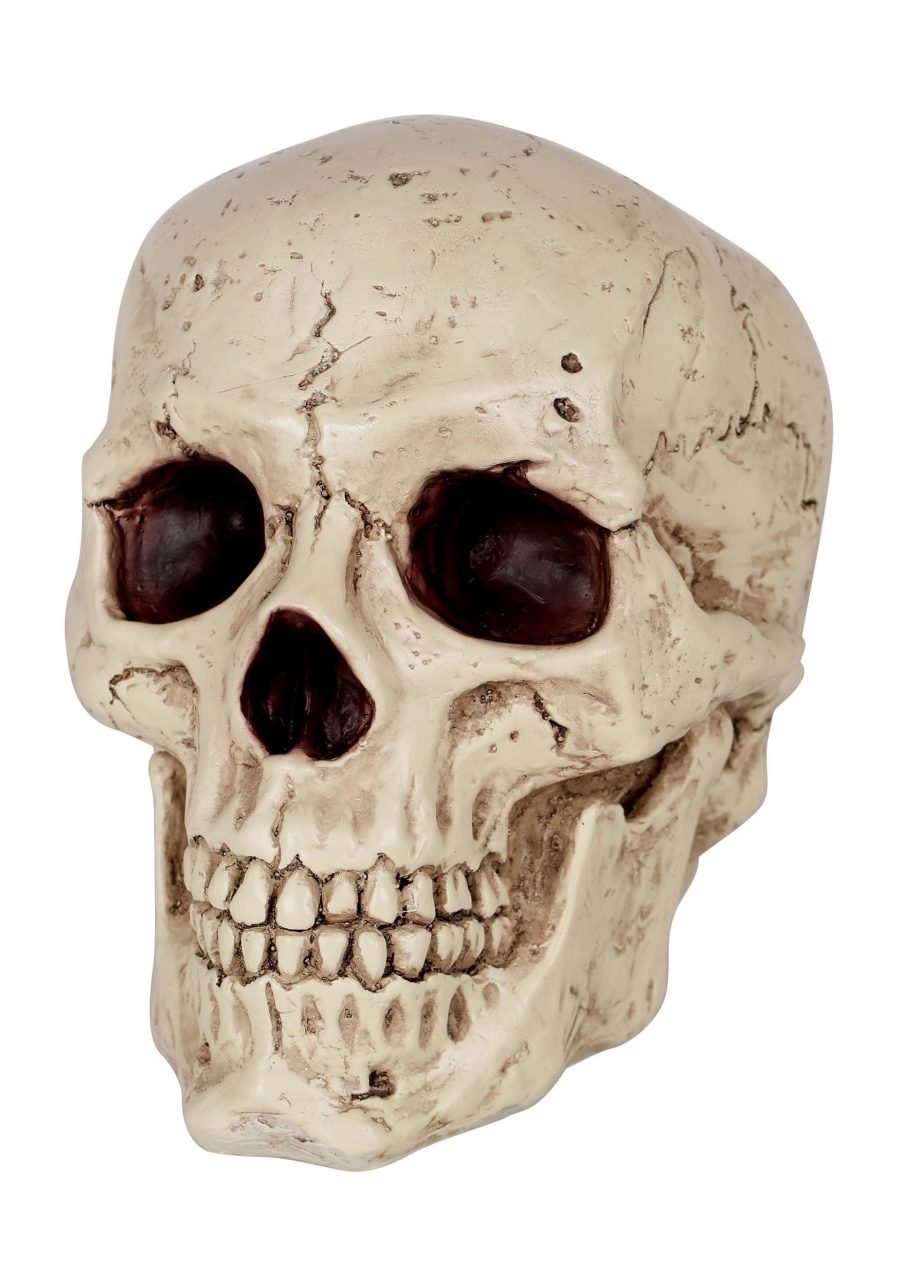 Resin Classic Skull Decoration