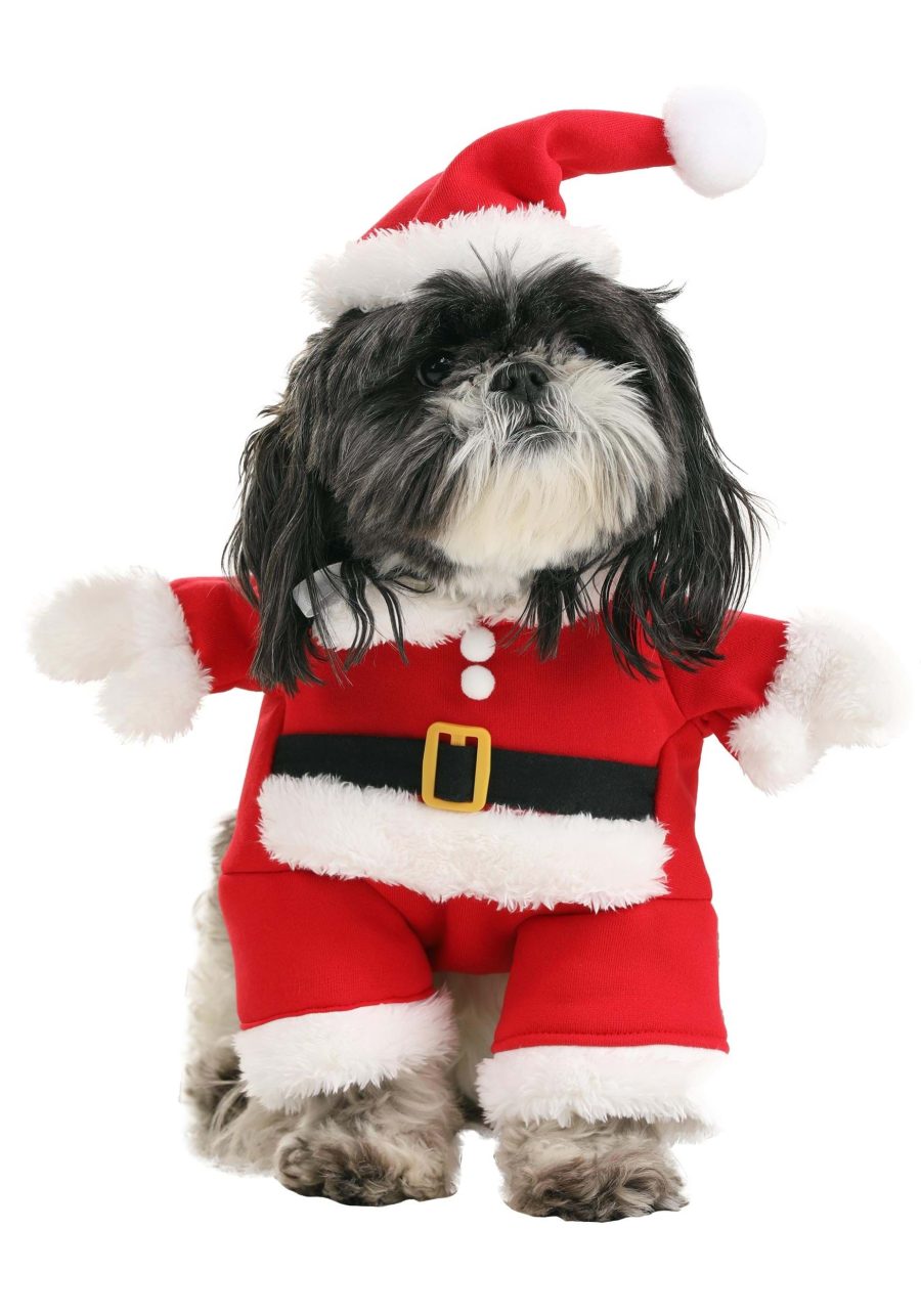 Santa Pet Costume