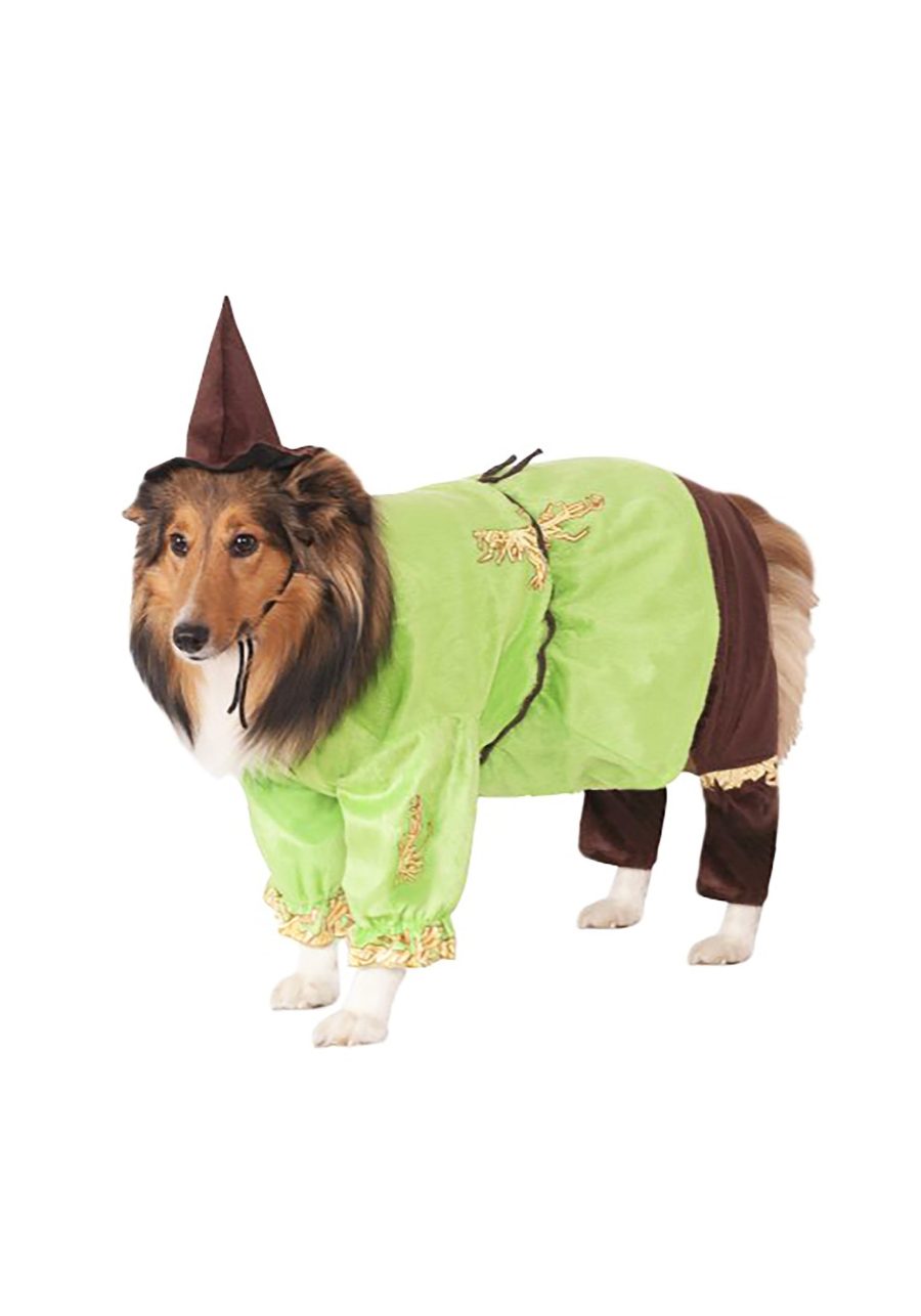 Scarecrow Pet Costume