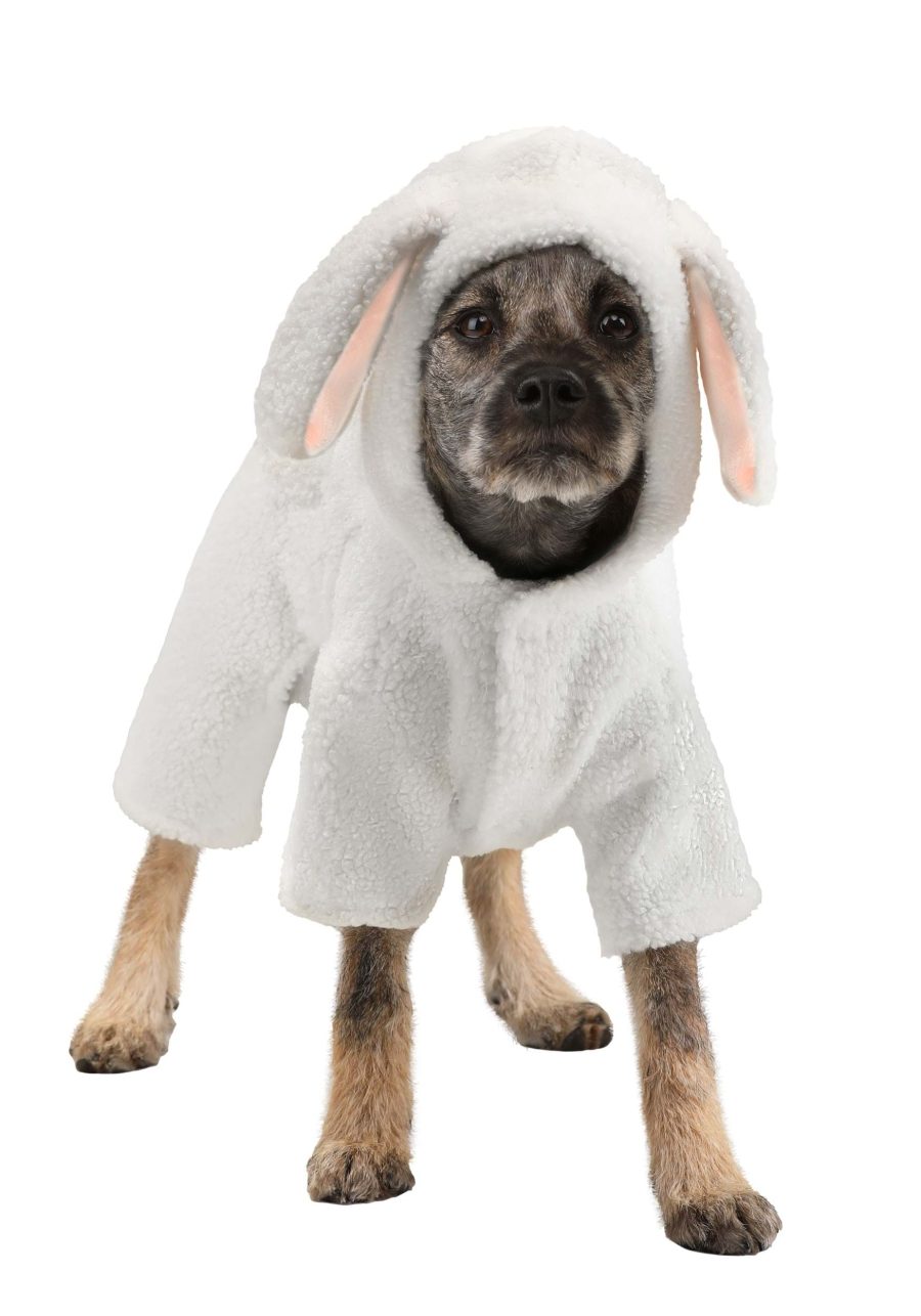 Sheep Pet Costume