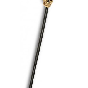 Skull Cane Accessory