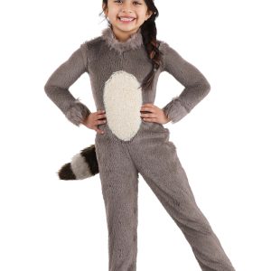 Toddler Girl's Raccoon Costume